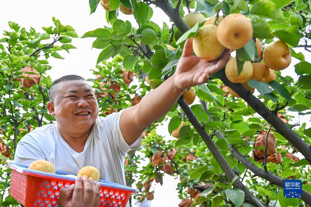 吉祥游戏账号